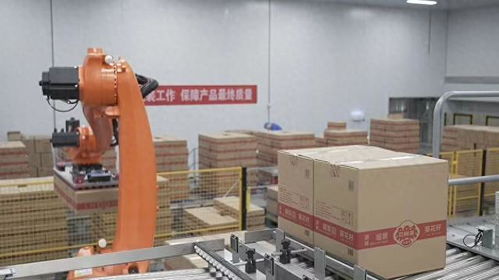 巴彥淖爾鍛造向日葵全產業鏈